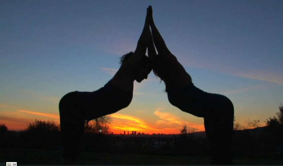 Commercial Work: Sarahpeutics.org